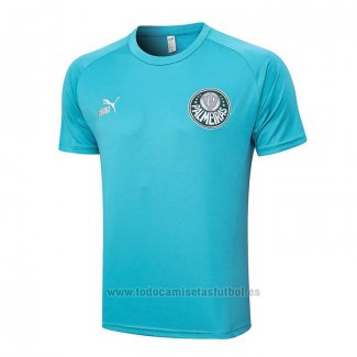 Camiseta de Entrenamiento Palmeiras 2023-2024 Verde