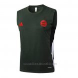 Camiseta de Entrenamiento Bayern Munich Sin Mangas 2025-2026 Verde