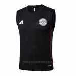 Camiseta de Entrenamiento Ajax Sin Mangas 2025-2026 Negro