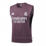 Camiseta de Entrenamiento Real Madrid Sin Mangas 2025-2026 Gris Purpura