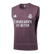Camiseta de Entrenamiento Real Madrid Sin Mangas 2025-2026 Gris Purpura