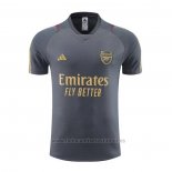 Camiseta de Entrenamiento Arsenal 2023-2024 Gris