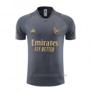 Camiseta de Entrenamiento Arsenal 2023-2024 Gris