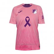 Camiseta Hoffenheim 1ª 2025-2026 Rosa Tailandia