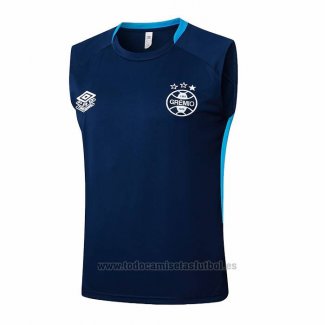 Camiseta de Entrenamiento Gremio Sin Mangas 2025-2026 Azul