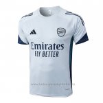 Camiseta de Entrenamiento Arsenal 2025-2026 Gris