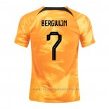 Camiseta Paises Bajos Jugador Bergwijn 1ª 2022