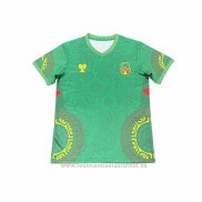 Camiseta Mali Special 2025-2026 Verde Tailandia