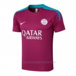 Camiseta de Entrenamiento Paris Saint-Germain 2024-2025 Purpura