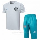 Chandal del Palmeiras Manga Corta 2023-2024 Gris - Pantalon Corto