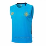 Camiseta de Entrenamiento Gremio Sin Mangas 2025-2026 Azul