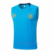 Camiseta de Entrenamiento Gremio Sin Mangas 2025-2026 Azul