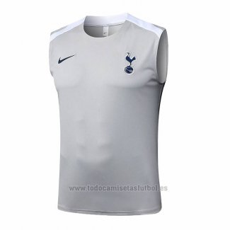 Camiseta de Entrenamiento Tottenham Hotspur Sin Mangas 2025-2026 Gris