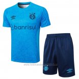 Chandal del Gremio Manga Corta 2024-2025 Azul - Pantalon Corto