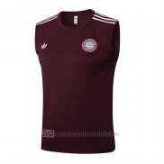 Camiseta de Entrenamiento Bayern Munich Sin Mangas 2025-2026 Rojo