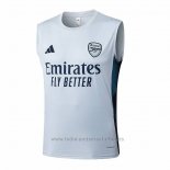 Camiseta de Entrenamiento Arsenal Sin Mangas 2025-2026 Gris