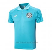 Camiseta Polo del Palmeiras 2023-2024 Verde