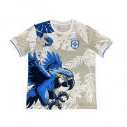 Camiseta Brasil Special 2025-2026 Gris Azul Tailandia